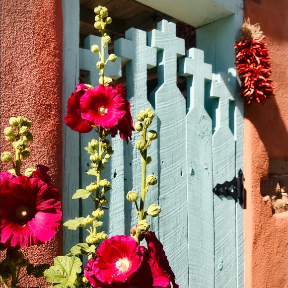 I N S T A G R A M,  F A C E B O O K,  &  T I K T O K: @sangre.de.cristo.vintage - Picture 6 of 11